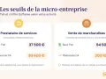 Tableau comparatif des seuils de TVA et de chiffre d'affaires pour la micro-entreprise : prestations de services vs vente de marchandises.