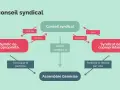 Schéma illustrant le rôle du conseil syndical : il contrôle le syndic de copropriété, le conseille, et rend compte à l'assemblée générale. La responsabilité du syndic est centrale.