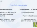L'usufruit temporaire : comment ça fonctionne (revenus, amortissement) et pourquoi y recourir (personne morale, placement, personne physique).