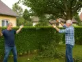 Un homme s'exclame, les mains levées, tandis que son voisin coupe des branches. La question "peut on couper les branches du voisin" est au cœur de cette scène.
