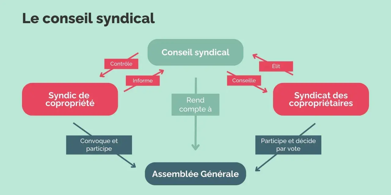 Schéma illustrant le rôle du conseil syndical : il contrôle le syndic de copropriété, le conseille, et rend compte à l'assemblée générale. La responsabilité du syndic est centrale.