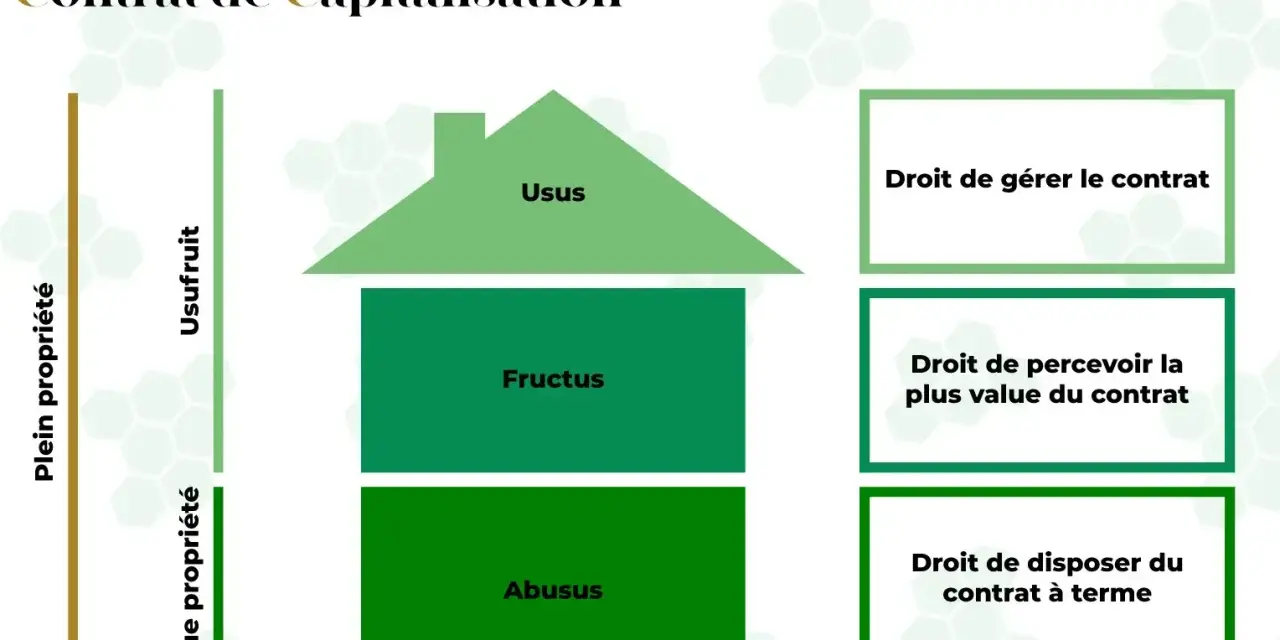 Schéma illustrant le démembrement d'un contrat de capitalisation, séparant l'usufruit de la nue-propriété et les droits associés.