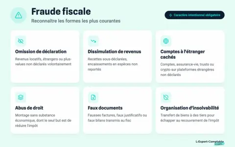Infographie sur la fraude fiscale, détaillant ses formes courantes : omission de déclaration, dissimulation de revenus, comptes à l'étranger cachés, abus de droit, faux documents, organisation d'insolvabilité.