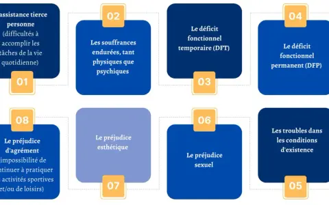 Schéma illustrant les différents préjudices liés à une maladie professionnelle dans la fonction publique : assistance tierce personne, souffrances physiques/psychiques, déficits fonctionnels, préjudices d'agrément, esthétique, sexuel, et troubles dans ...