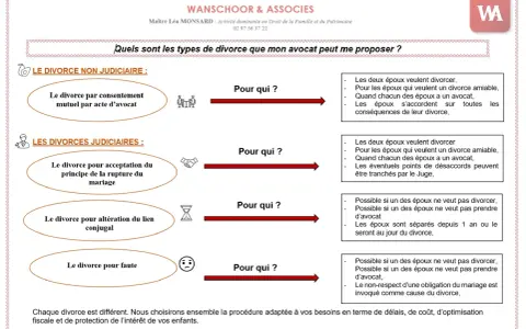 Schéma des types de divorce : amiable, acceptation du principe de rupture, altération du lien conjugal, faute. Un avocat est essentiel pour chaque divorce.