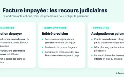 Infographie sur les recours judiciaires pour facture impayée : injonction de payer, référé-provision, assignation en paiement. Le coût d'une procédure devant le JAF dépendra de la complexité.