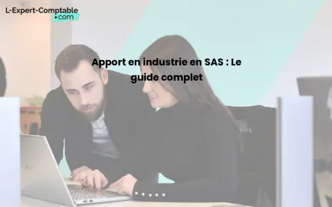 Deux collaborateurs étudient un projet sur un ordinateur portable. Le titre "Apport en industrie en SAS : guide complet" apparaît en surimpression.