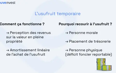 L'usufruit temporaire : comment ça fonctionne (revenus, amortissement) et pourquoi y recourir (personne morale, placement, personne physique).