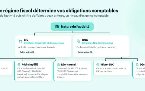 Schéma expliquant les régimes fiscaux selon la nature d'activité (BIC, BNC) et le seuil micro pour un avocat.