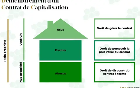 Schéma illustrant le démembrement d'un contrat de capitalisation, séparant l'usufruit de la nue-propriété et les droits associés.