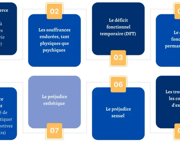 Schéma illustrant les différents préjudices liés à une maladie professionnelle dans la fonction publique : assistance tierce personne, souffrances physiques/psychiques, déficits fonctionnels, préjudices d'agrément, esthétique, sexuel, et troubles dans ...