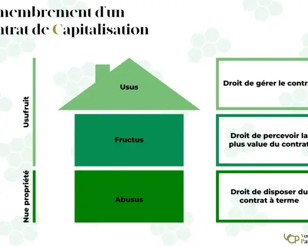 Schéma illustrant le démembrement d'un contrat de capitalisation, séparant l'usufruit de la nue-propriété et les droits associés.