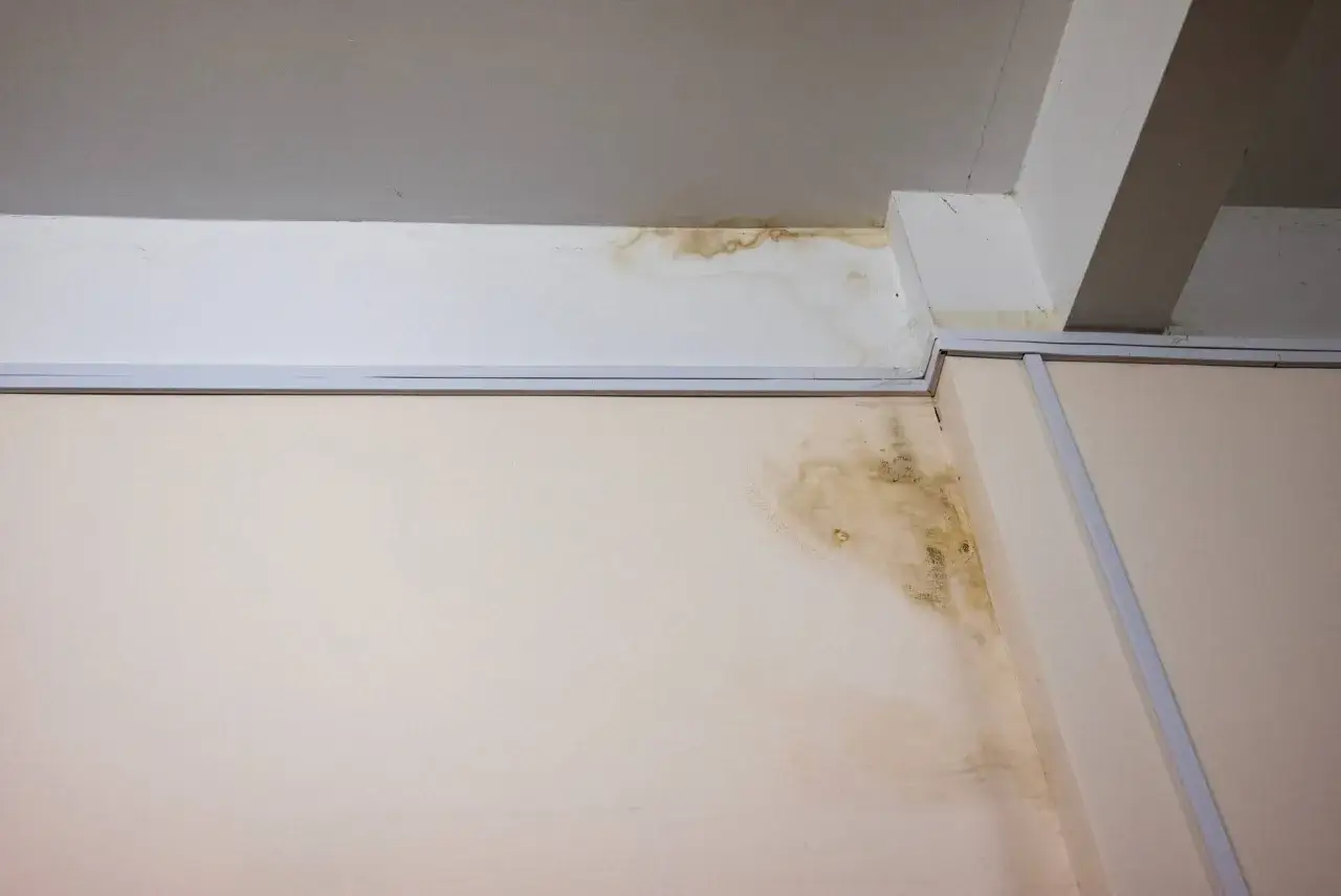 Taches de moisissure sur un mur et un plafond, évoquant un cas de jurisprudence pour vice caché dans une maison.