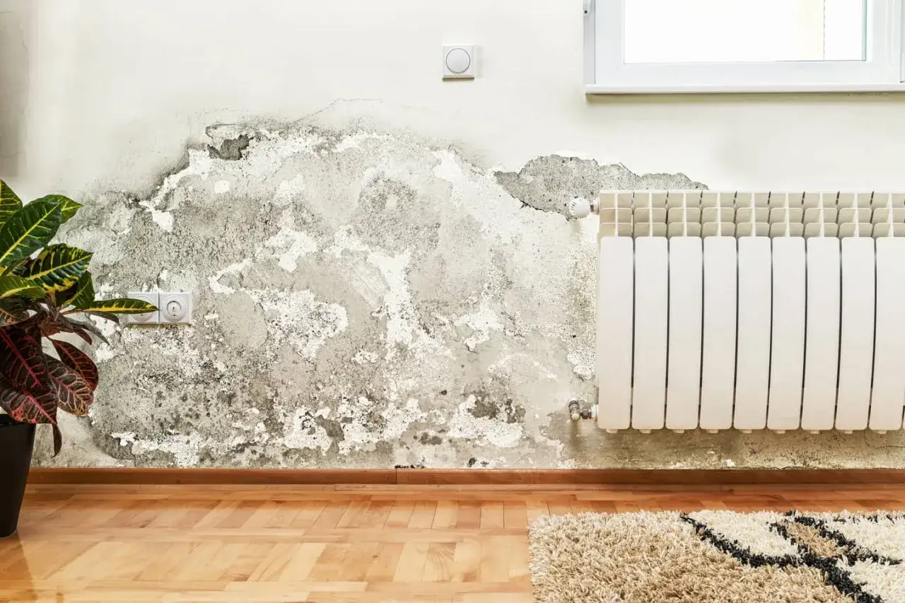 Dégât des eaux en copropriété : un mur d'appartement présente des taches d'humidité et de moisissure, avec un radiateur blanc à droite.