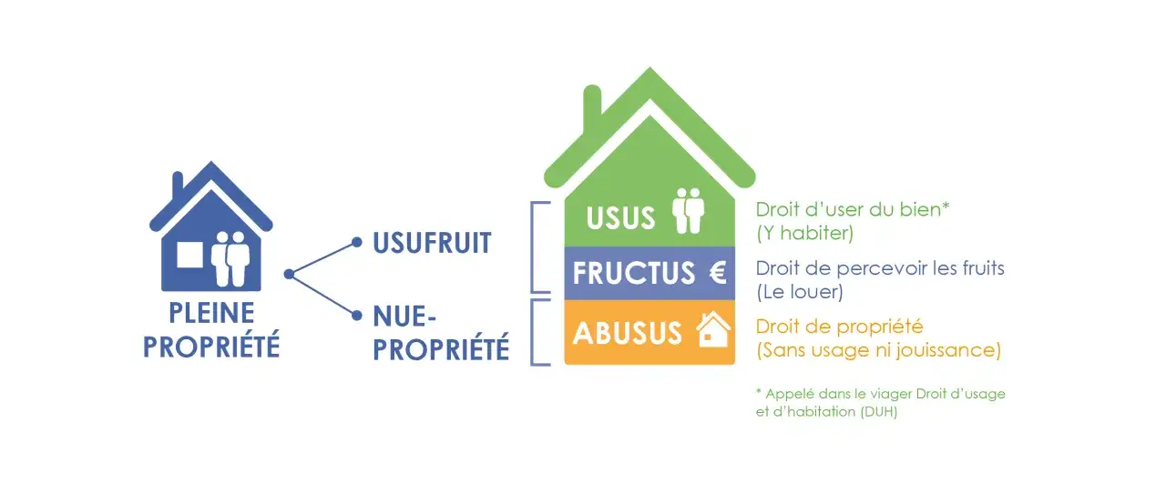Schéma illustrant la pleine propriété divisée en usus, fructus et abusus, utile pour comprendre les inconvénients du prêt viager hypothécaire.