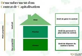Schéma illustrant le démembrement d'un contrat de capitalisation, séparant l'usufruit de la nue-propriété et les droits associés.